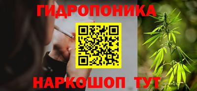 амф Шелехов