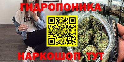 амф Шелехов