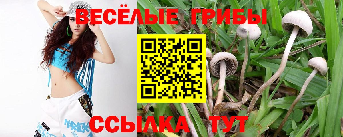 Псилоцибиновые грибы мухоморы Богородск
