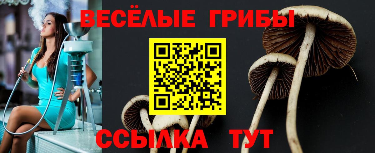Псилоцибиновые грибы мицелий  Вход с VPN  Богородск 